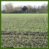 Wieringermeer