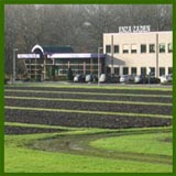 Zaadteelt/zaadhandel