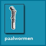 17. De paalwormramp in 1732 en begin van het “stenen tijdperk”