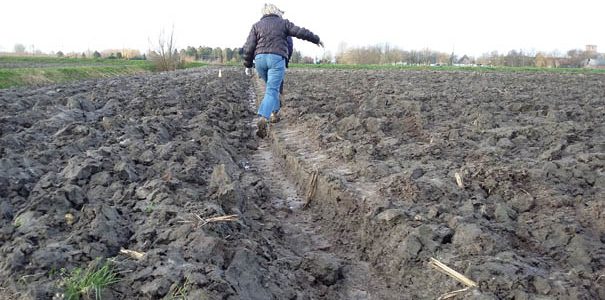 Van de prut in de bagger; van 2015 naar 2016.